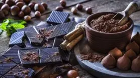  چه بخورید تا  هوس غذا‌های چرب نکنید!