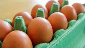 ترفندهای دور کردن آلودگی سالمونلا از تخم مرغ 