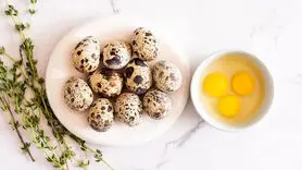 آیا خوردن تخم بلدرچین برای زنان باردار خطرناک است؟