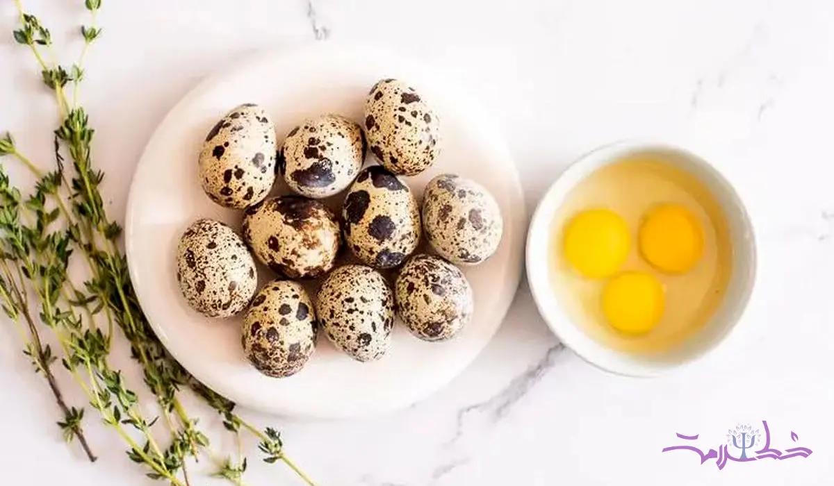 آیا خوردن تخم بلدرچین برای زنان باردار خطرناک است؟