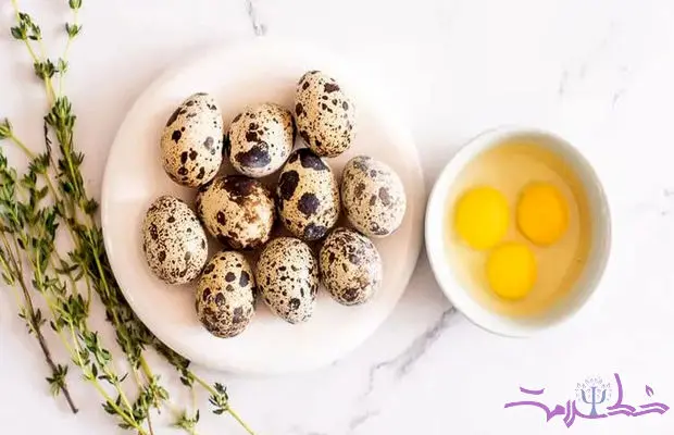 آیا خوردن تخم بلدرچین برای زنان باردار خطرناک است؟
