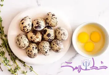 آیا خوردن تخم بلدرچین برای زنان باردار خطرناک است؟