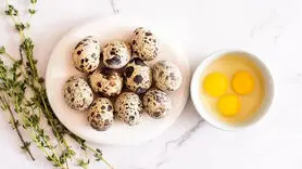 آیا خوردن تخم بلدرچین برای زنان باردار خطرناک است؟