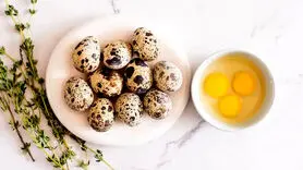 آیا خوردن تخم بلدرچین برای زنان باردار خطرناک است؟