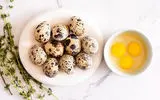 آیا خوردن تخم بلدرچین برای زنان باردار خطرناک است؟