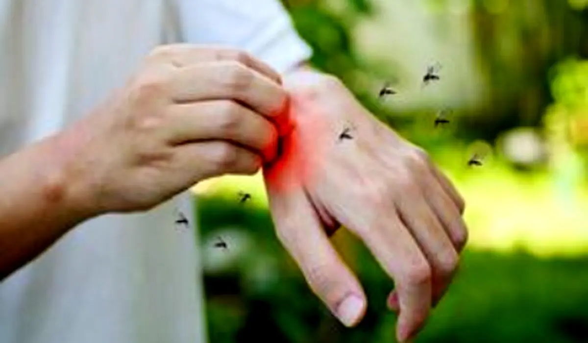 تب دنگی چیست و چرا باید مراقب باشید؟