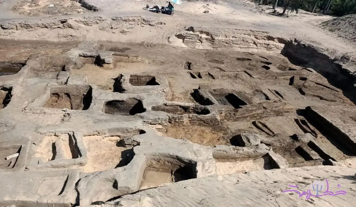 کشف ۶۳ مقبره با قدمت ۲۵۰۰ سال و گنجینه‌ای از طلا در مصر + آلبوم تصاویر