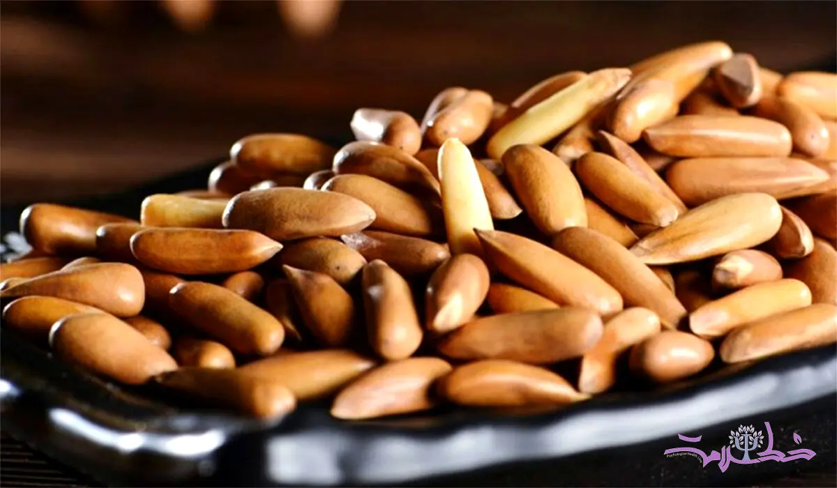 فواید شگفت بادام چلغوز 