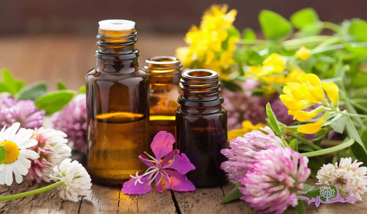 خواص 5 روغن گیاهی برای شادی و نشاط و آرامش