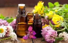 خواص 5 روغن گیاهی برای شادی و نشاط و آرامش
