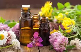 خواص 5 روغن گیاهی برای شادی و نشاط و آرامش