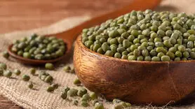 ماش/ این حبوبات کوچک چه مواد مغذی برای سلامت مغز و سلامت روان دارد؟