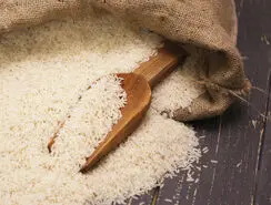 ترفندهای ساده و خانگی برای از بین بردن شپشک برنج 