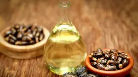 روغن کرچک راز پنهان زیبایی و سلامتی سلبریتی‌ ها / کرچک برای زیبا شدن جیبتان را خالی نمی‌کند!