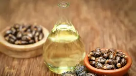 روغن کرچک راز پنهان زیبایی و سلامتی سلبریتی‌ ها / کرچک برای زیبا شدن جیبتان را خالی نمی‌کند!