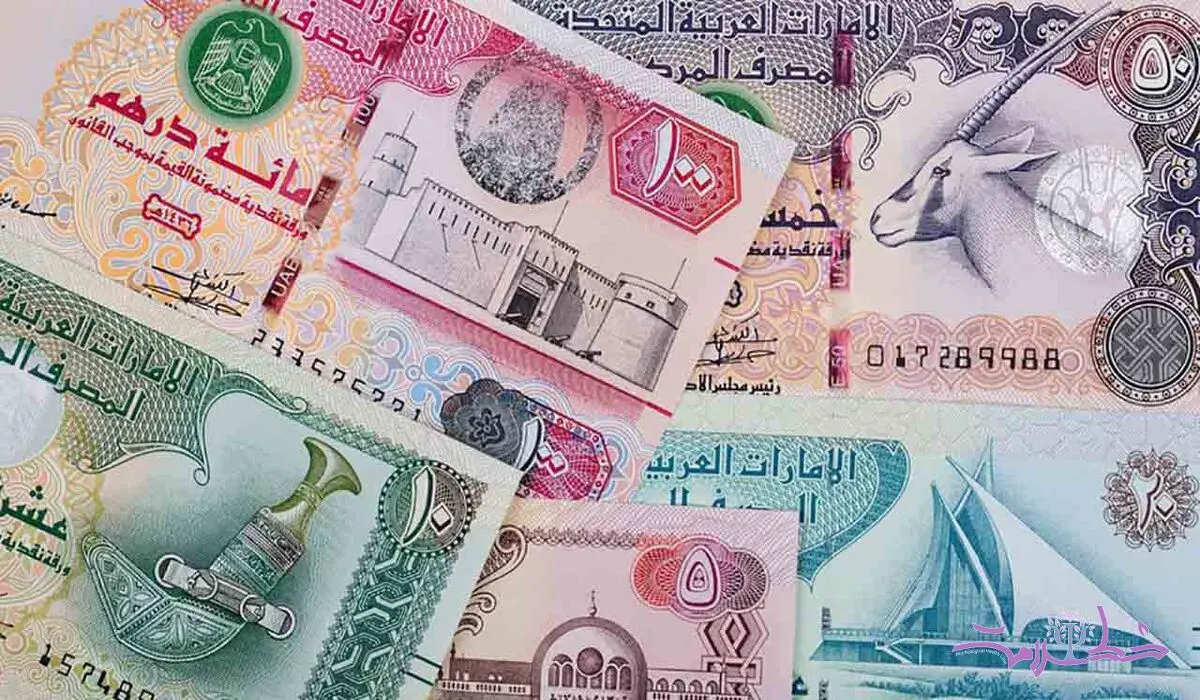 درهم امارات چند؟ / آخرین قیمت درهم امارات امروز پنج شنبه 20 دی ماه 1403