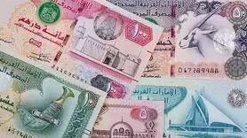 درهم امارات چند؟ / آخرین قیمت درهم امارات امروز پنج شنبه 29 آذر 1403