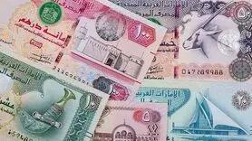 درهم امارات چند؟ / آخرین قیمت درهم امارات امروز پنج شنبه 20 دی ماه 1403