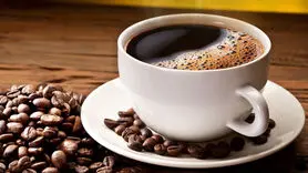 فیلم / این سفر خوش عطر چشم تان را به زندگی باز می کند