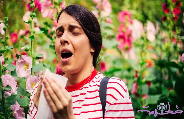 سلول‌های حافظه B؛ راز جدید در درمان آلرژی‌های طولانی‌مدت