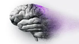 عفونت های ویروسی دو بیماری سیاه را ایجاد می کند+ مراقبت را جدی بگیرید
