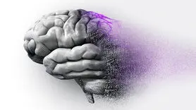 عفونت های ویروسی دو بیماری سیاه را ایجاد می کند+ مراقبت را جدی بگیرید
