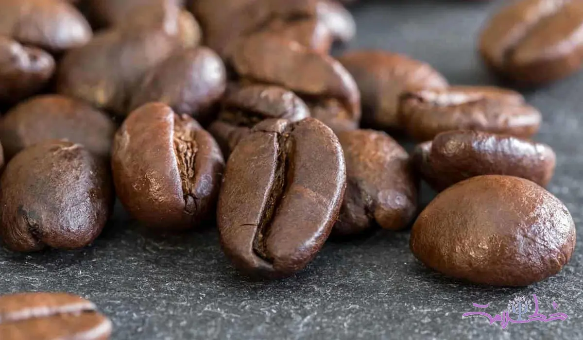 دیدگاه ابوعلی سینا و زکریای رازی در مورد قهوه
