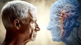  پیری را با این شیوه کند کنید / آخرین یافته علمی در مورد راز جوان ماندن