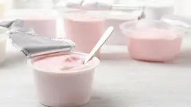 استفاده از مورچه‌ها برای تولید ماست به روش سنتی