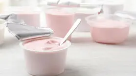 استفاده از مورچه‌ها برای تولید ماست به روش سنتی