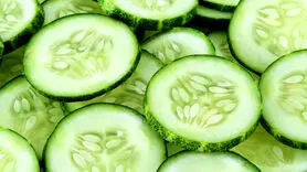 تخم خیار چگونه به تقویت استخوان‌ها کمک می کند؟