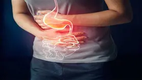 مراقب سلامت روده های تان باشید/ این یافته عجیب است