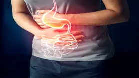 مراقب سلامت روده های تان باشید/ این یافته عجیب است