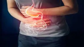 مراقب سلامت روده های تان باشید/ این یافته عجیب است