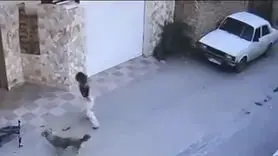 فیلم دلخراش حمله سگ ولگرد به دختر بچه نکایی + این دختر بچه پس از چند روز جان باخت / هاری بیماری کشنده با راهکار های درمانی