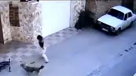 فیلم دلخراش حمله سگ ولگرد به دختر بچه نکایی + این دختر بچه پس از چند روز جان باخت / هاری بیماری کشنده با راهکار های درمانی