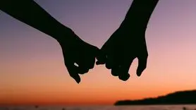 چرا بعد از ازدواج همه‌ چیز عوض می‌شود؟ /  قانون طلایی مغز انسان