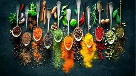این 5 ادویه سطح انرژی و عملکرد مغز را افزایش می دهند 