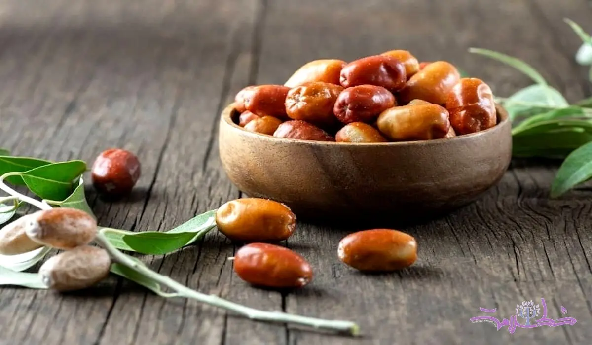 سنجد مفیدترین میهمان سفره هفت سین ایرانی ها + سیر تا پیاز فواید سنجد