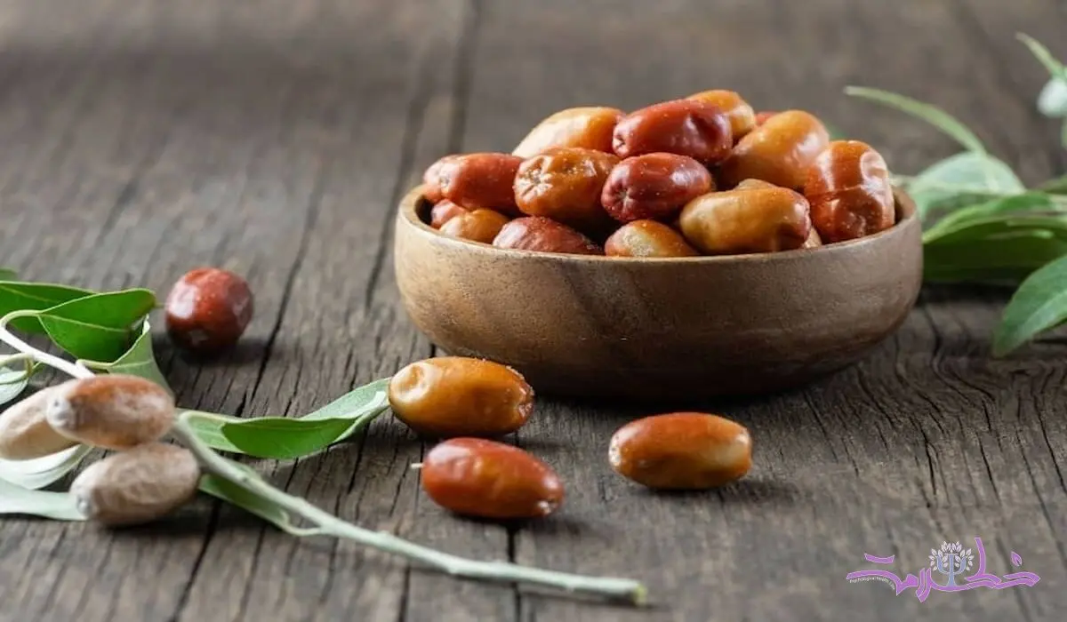 سنجد مفیدترین میهمان سفره هفت سین ایرانی ها + سیر تا پیاز فواید سنجد