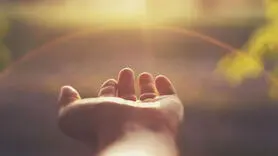 با این نکته دیگر افسوس نمی خورید