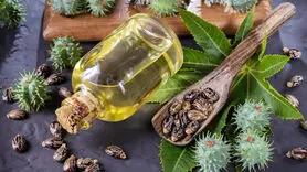 این دو روغن طبیعی مو‌ها را پر پشت می‌کند