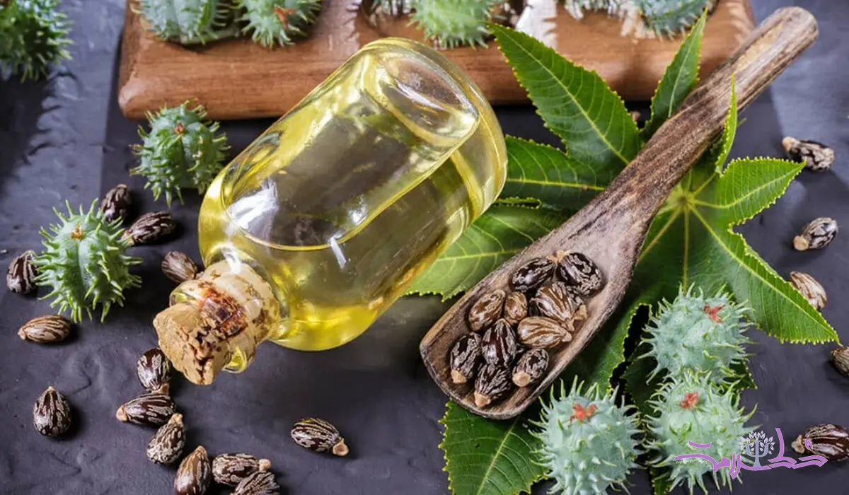 این دو روغن طبیعی مو‌ها را پر پشت می‌کند