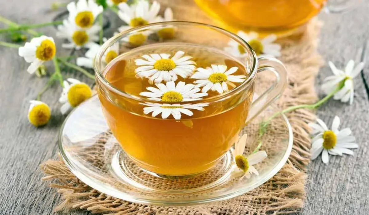 استرس را با یک فنجان ضربه فنی کنید / آخرین پیشنهاد روانشناسان را بخوانید