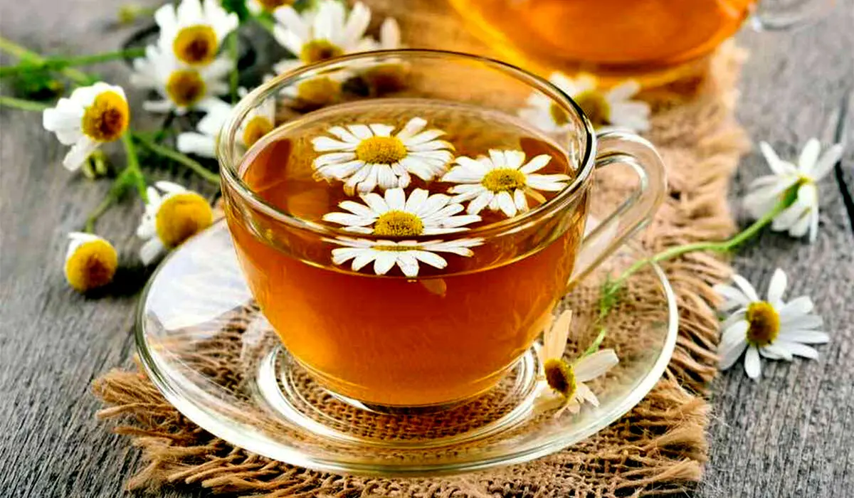 استرس را با یک فنجان ضربه فنی کنید / آخرین پیشنهاد روانشناسان را بخوانید