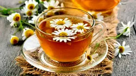 استرس را با یک فنجان ضربه فنی کنید / آخرین پیشنهاد روانشناسان را بخوانید