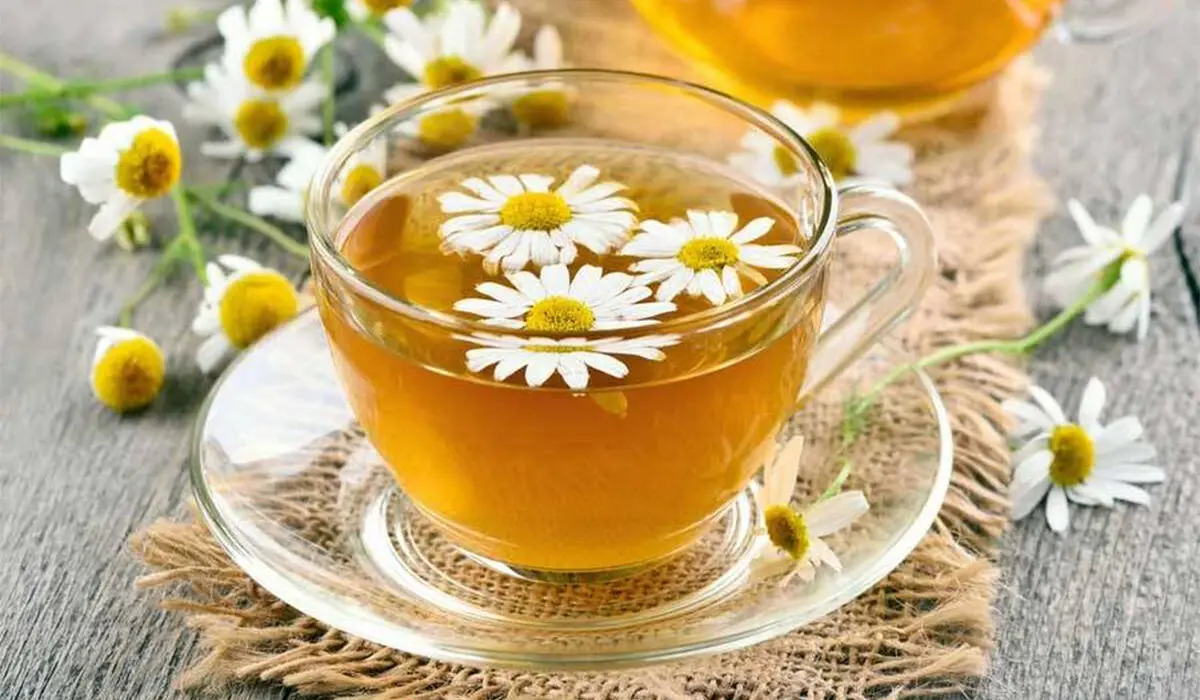 استرس را با یک فنجان ضربه فنی کنید / آخرین پیشنهاد روانشناسان را بخوانید