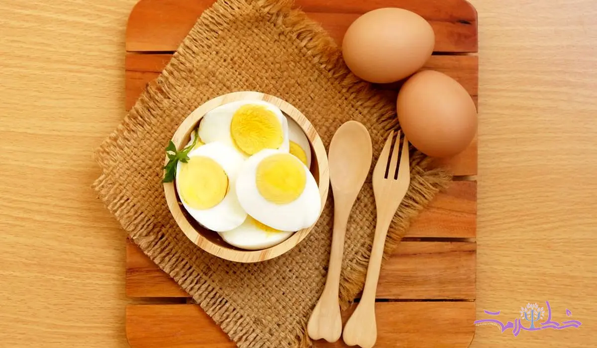 سفیده یا زرده تخم مرغ کدام برای شما مفید تر است؟