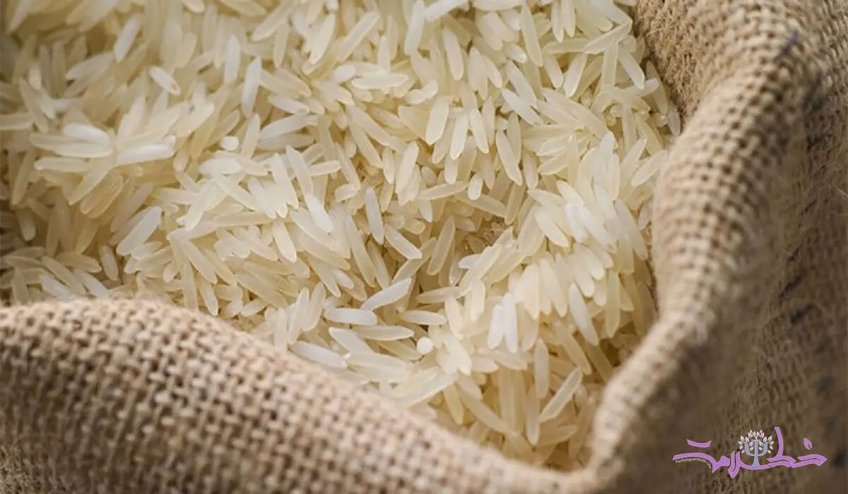 فوت و فن نگهداری برنج در آپارتمان 