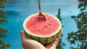 خوردن هندوانه برای همه خوب نیست / بهترین و بدترین زمان خوردن هندوانه